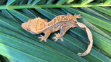 Tangerine Whiteout Pinstripe Crested Gecko