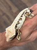 Tricolor Lilly White Crested Gecko
