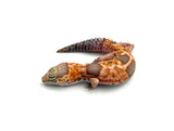 Whiteout Amelanistic African Fat Tail Gecko