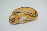 Pastel Enchi Yellowbelly Pied Ball Python