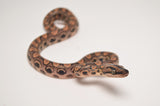 Baby Brazilian Rainbow Boa