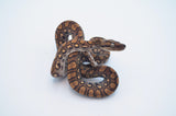 Baby Brazilian Rainbow Boa