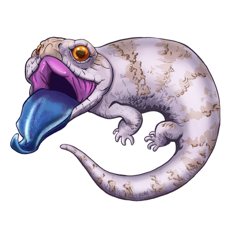 White Blue Tongue Skink Stickers/Decals
