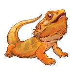 Bearded Dragon Stickers/Decals